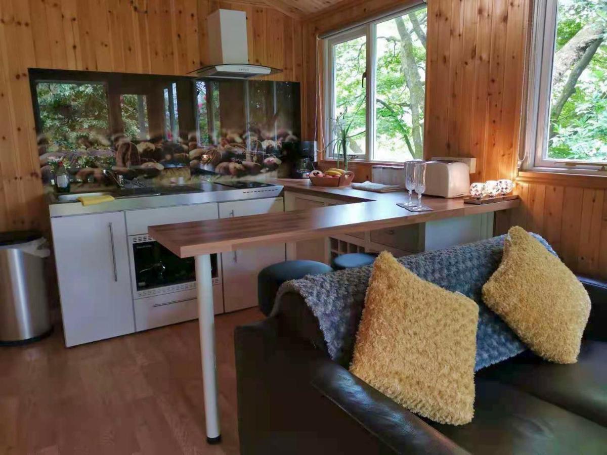 霍克斯黑德Treeside Woodhouse别墅 外观 照片